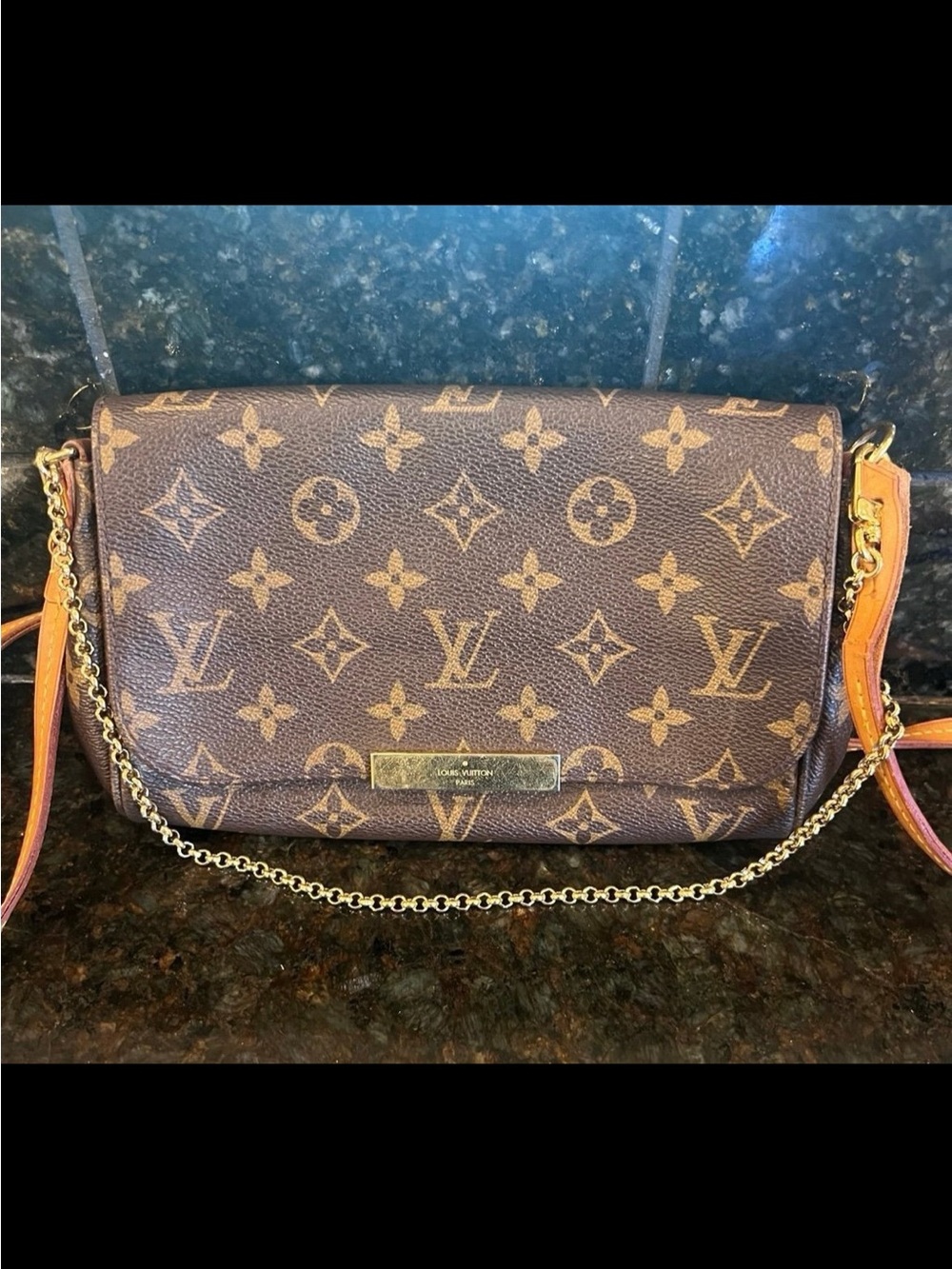 Louis Vuitton Favorite PM Monogram purse – Discontinued Style